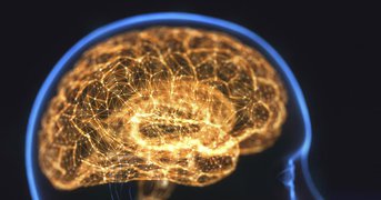 Computer illustration of brain cross-section in blue, glowing, human head.