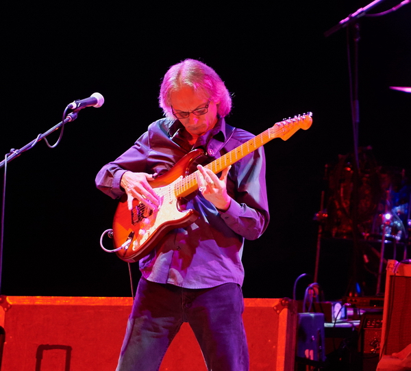 DSC_7109 crop_resize