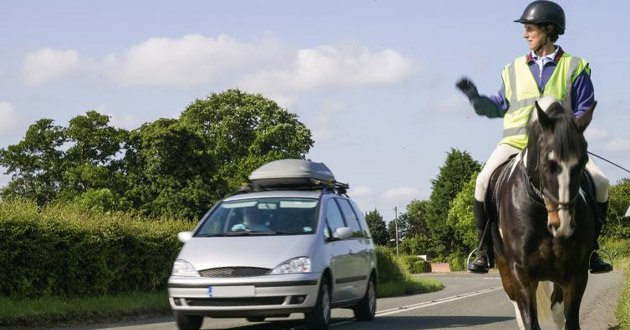 Horse-and-rider ackowledge overtaking car.