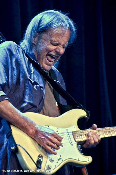 Walter Trout IS BACK 1 by Bob Steshetz_resize