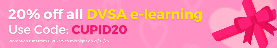 Valentines Promo 120225-2802-25.png